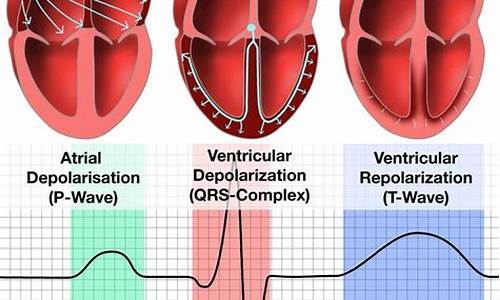 Get Your Party On at Cabo Wabo Cantina Las Vegas New Year’s Eve Bash