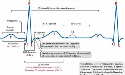 Get Your Party Started at Cabo Wabo