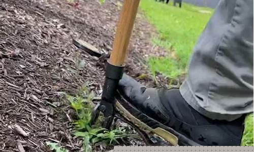 Get Your Tequila Fix at Cabo Wabo Louisville on Facebook!