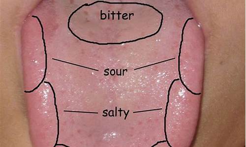 Get a Taste of Cabo at Cabo Wabo Cantina Vegas