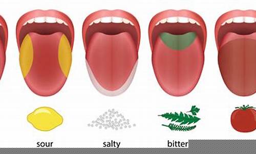 Get a Taste of Mexico at Cabo Wabo Cantina