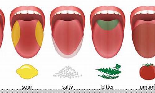 Get a Taste of Mexico at Cabo Wabo Cantina