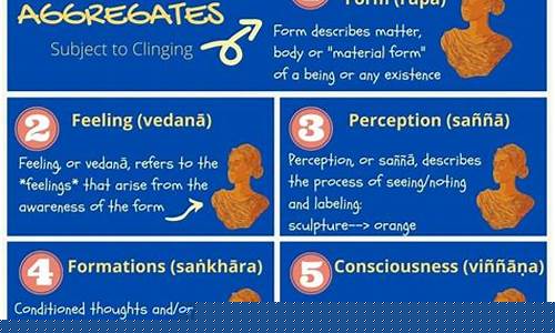 Get in the Zone with WABO Tennis