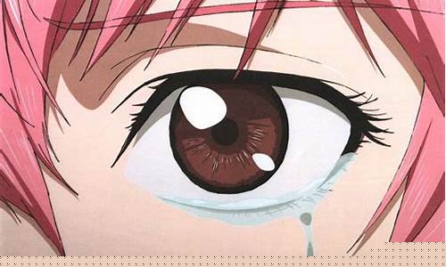 Getting Lost in the Rhythm of Cabo Wabo Los Cabos