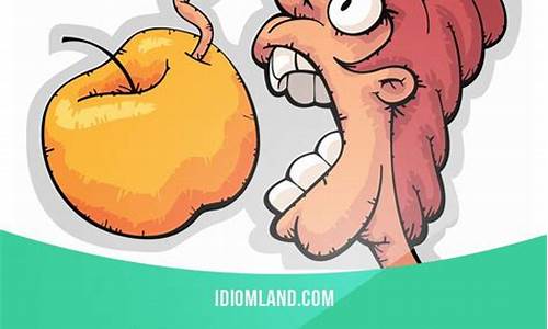 Grab a Bite of Delicious Mexican Food Without Breaking the Bank at Cabo Wabo Cantina