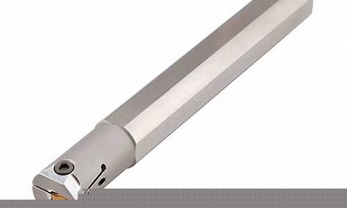 Grooving to the Beat of Cabo Wabo