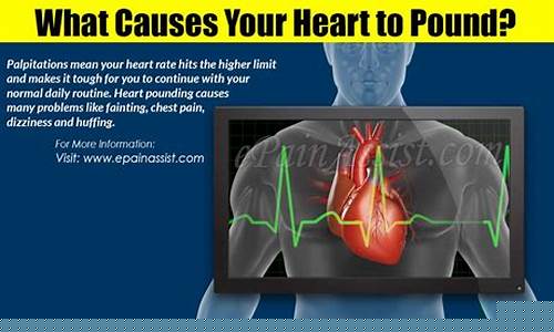 Heart-Pounding Moments at WABO Soccer Showdown