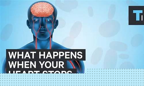 Heart-Stopping Moments at WABO Skydiving Sports Challenge