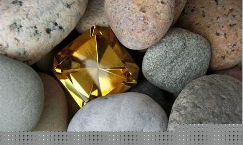 Hidden Gems of Cabo Wabo Cantina