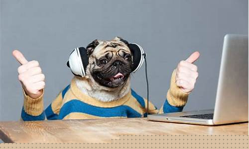 Hilarious Happenings at Cabo Wabo Hollywood