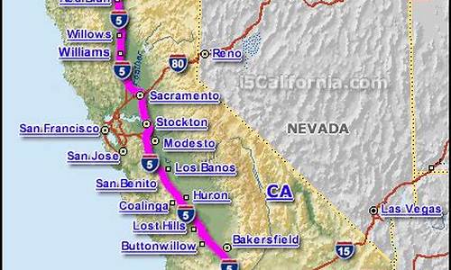 How the Cabo Wabo Logo Stands Out in a Crowded Market