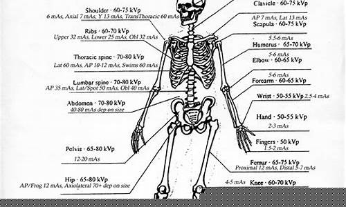 How to Master WABO Baseball Sports Game