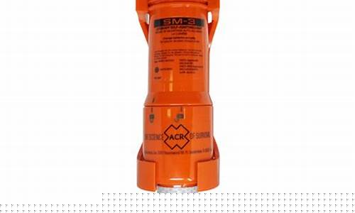 Igniting Passion at Cabo Wabo Events