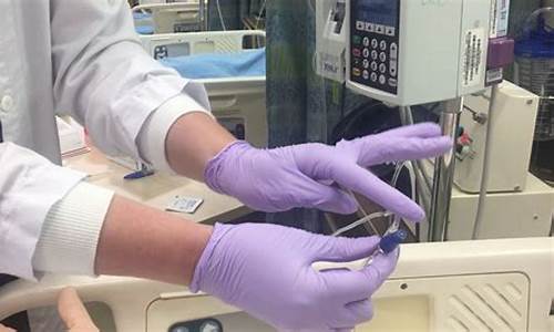 Infusing Joy and Flavor with Cabo Wabo Drink Majesty