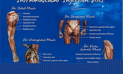 Inject Some Personality into Your Vehicle with a Cabo Wabo Decal