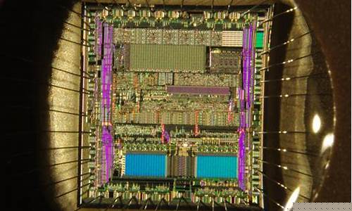 Insider Tips for Navigating the Cabo Wabo Map Like a Pro