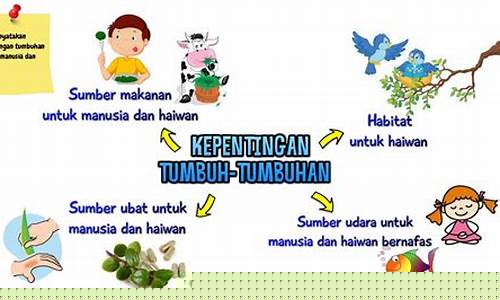 Kepentingan Kerjasama Antara Agensi Umum Wabo Entertainment dan Industri Tempatan