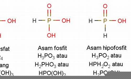 Keunikan Hiburan Live Wabo di Malaysia