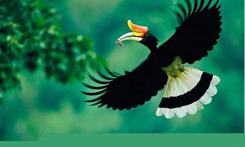 Keunikan Texas Pool di Platform Wabo