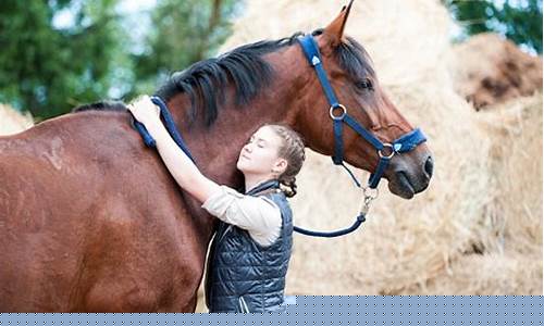 Kuda Favorit Peminat di Wabo