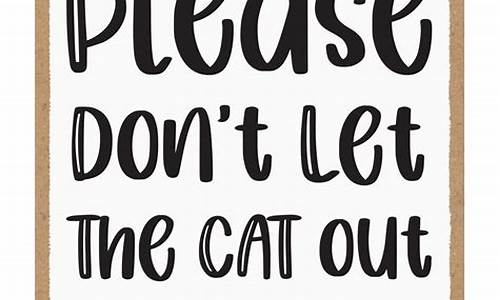 Let the Cabo Wabo Harmonica Serenade Your Senses