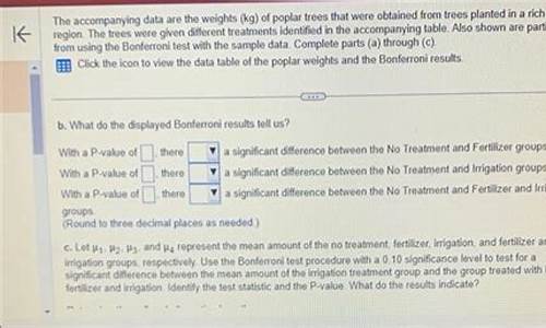 Let the Music Move You at Cabo Wabo