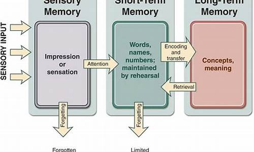 Make Memories at Cabo Wabo’s Unforgettable Events