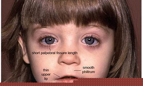 Make a Fashion Statement with the Cabo Wabo Cantina Button Down Shirt