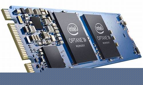 Memories Made at Cabo Wabo Birthday Bash