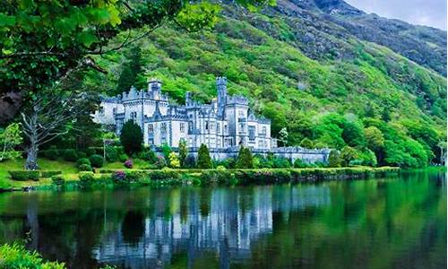 Must-Visit Attractions at Cabo Wabo Flea Market