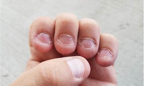 Nail-Biting Finish at the WABO Soccer Match