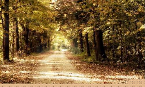 Nostalgic Moments from Cabo Wabo Louisville KY