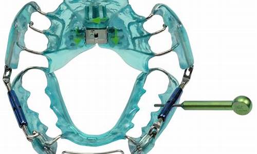 On the Pulse of Cabo Wabo Cover