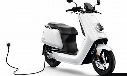 Play Niu Niu Poker Like a Pro in Malaysia