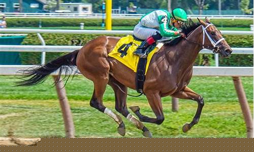 Racehorse Betting Thrills Await at Malaysia Wabo Casino