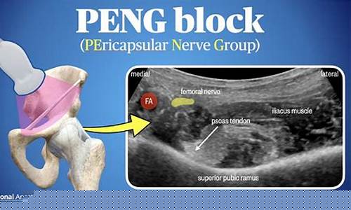 Rasai Pengalaman Hiburan di Wabo Cash Entertainment City