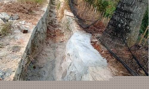 Rasakan Adrenalin Bermain Wabo Live Baccarat di Kasino Online