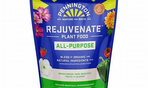 Rejuvenate Your Senses at Cabo Wabo Hotels