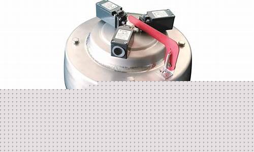 Reliving the Magic of Cabo Wabo, Louisville KY