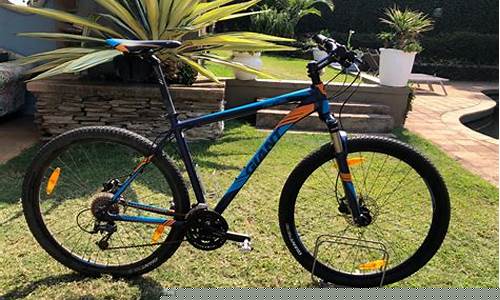 Revel in the Fun at Cabo Wabo Los Angeles