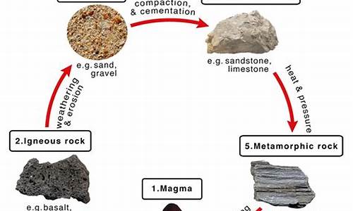 Rock On! Cabo Wabo Concerts Revisited