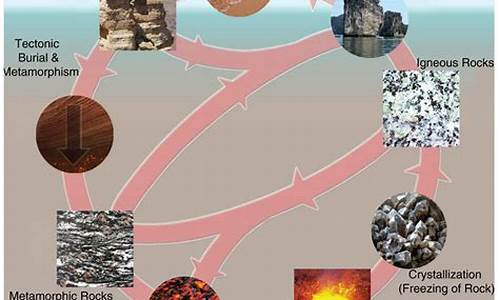 Rock Out at Cabo Wabo with Live Performances