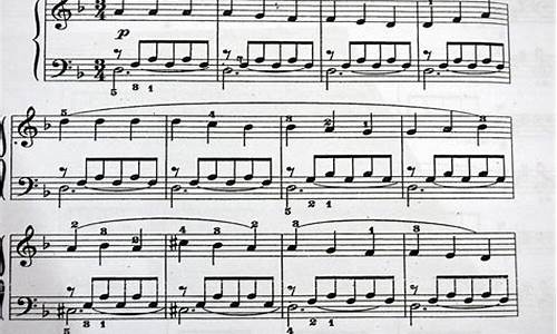 Romantic Vibes at Cabo Wabo Cantina on Valentine’s Day