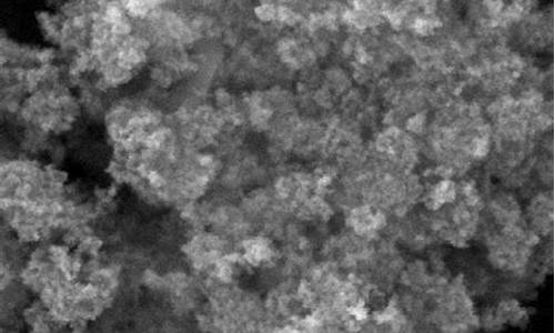 Sample Authentic Mexican Cuisine at Cabo Wabo Huntington Beach