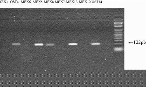 Sample Mexican Specialties at Cabo Wabo Boulder