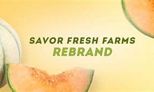 Savor Fresh and Delicious Food at Cabo Wabo Cantina