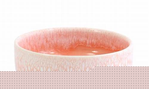 Savoring Fresh Seafood at Cabo Wabo’s Oceanfront Restaurant