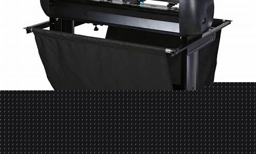 See Cabo Wabo’s Colorful Decor with Live Cam