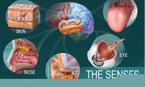 Sensing the Energy of Cabo Wabo’s Musical Narrative