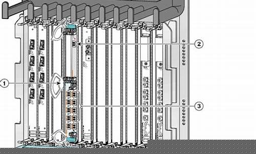Sip and Savor the Tropical Vibes with a Cabo Wabo Margarita